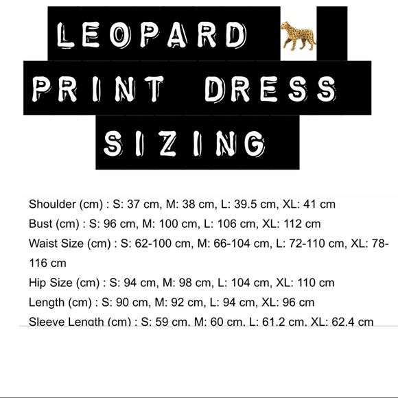 Leopard Print Front Belted Dress - Picture 5 of 5